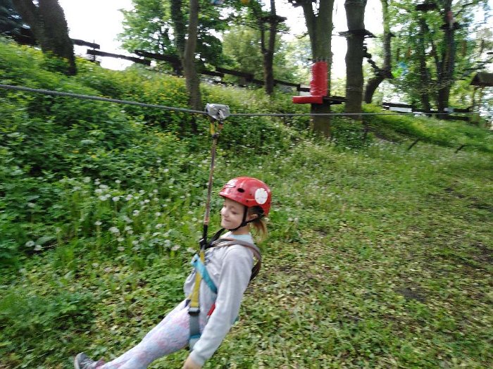 PARK LINOWY (63)